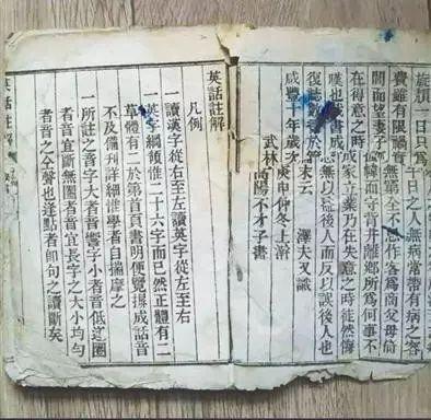 洛克王国烈钻鸟(洛克王国烈钻鸟怎么超进化)插图2