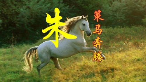 百家姓qq头像(百家姓头像大全真实图)插图40