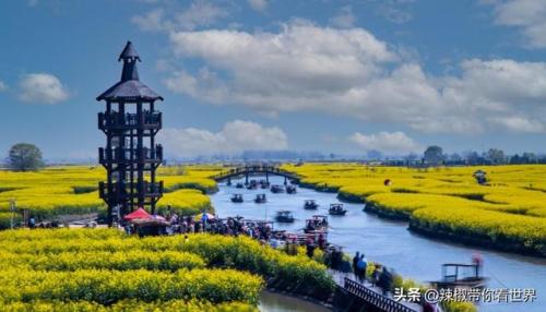 泰州古迹景点排名前十(泰州人文景点排名前十)插图9
