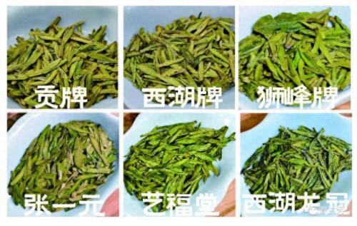 龙井品种排名前十(龙井哪个品种最好)插图7
