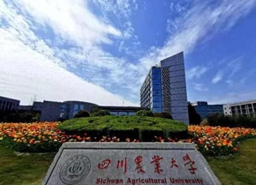 泸州学校排名前十(泸州高中排名一览表)插图4