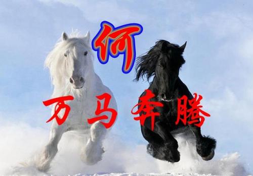 百家姓qq头像(百家姓头像大全真实图)插图2