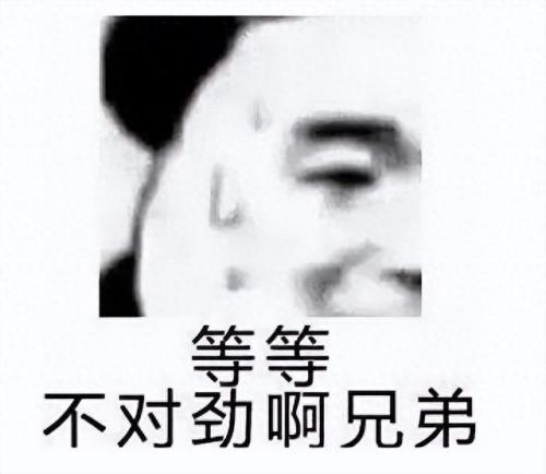 2022直拍排名前十(最全直拍)插图6