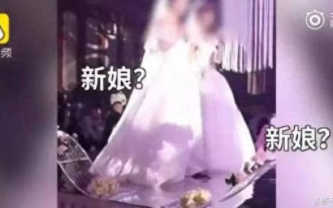享齐人之福(坐享齐人之福的小说)