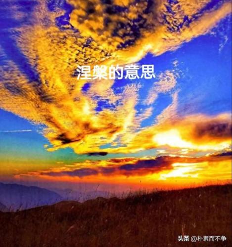 凤凰涅盘的意思(凤凰涅磐的解释)插图