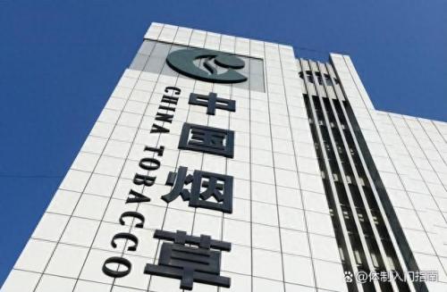 烟叶国家排名前十(个人种烟叶违法吗)插图1