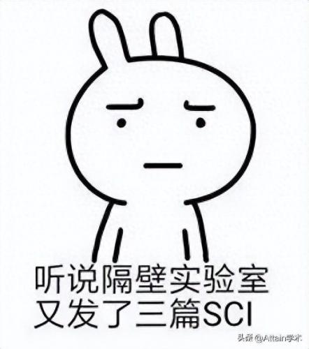 材料刊物排名前十(材料研究所排名)插图1