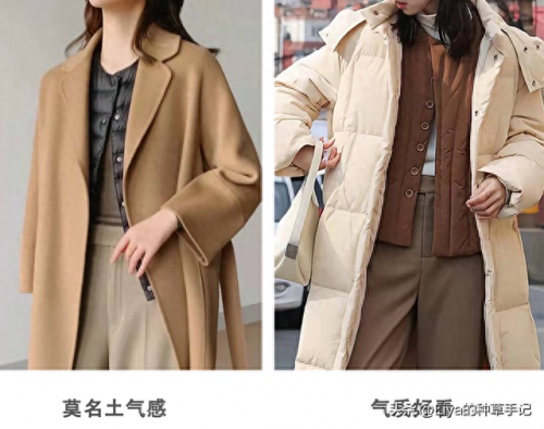排名前十冬装女(冬装穿搭女高级感)插图69