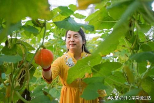 揭阳药厂排名前十(广东制药厂的排名)插图11