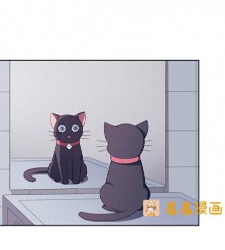 羞羞的漫画登录页面弹窗入口页面(免费韩漫画登录入口首页)插图14