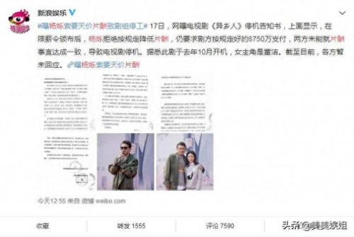 阮维希(阮维希老公)插图