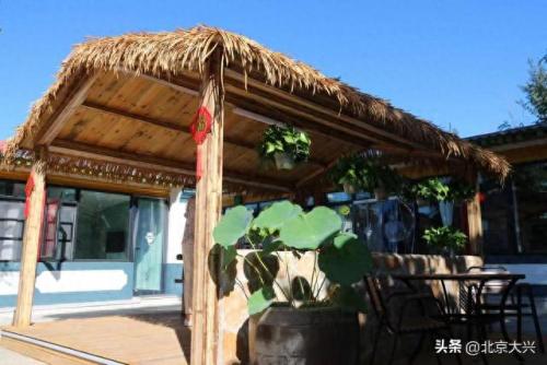 大兴雕塑排名前十(大兴最好的三个镇)插图7