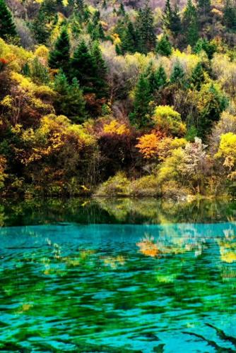十一长假国内旅游排名前十(十一旅游人数预测)插图3