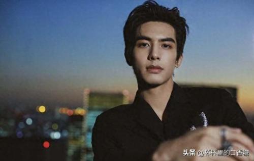 2021前十明星排名(2020100位明星排名)插图17