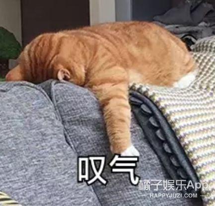 魏一宁 小鱼(魏一宁离婚了吗)插图27