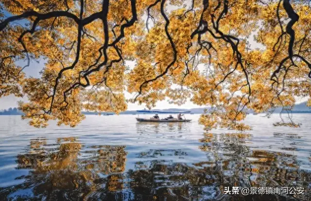 飞花轻寒李白(飞花轻寒古诗)插图8