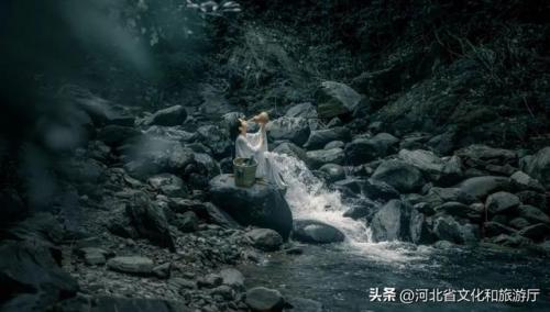 中华养生智慧(中华养生益生功)插图1