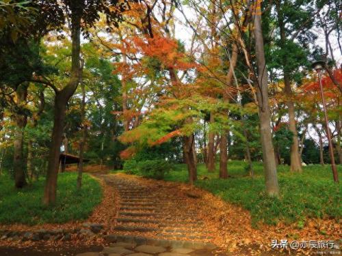 安徽旅游排名前十(安徽最漂亮的三个古镇)插图18
