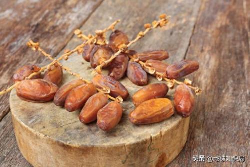金边白菜是什么菜系(乾隆白菜与金边白菜)插图5