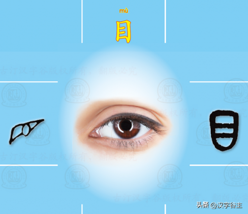 望其项背的近义词(望其项背什么意思)插图18