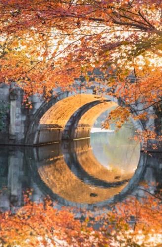 十一长假国内旅游排名前十(十一旅游人数预测)插图14