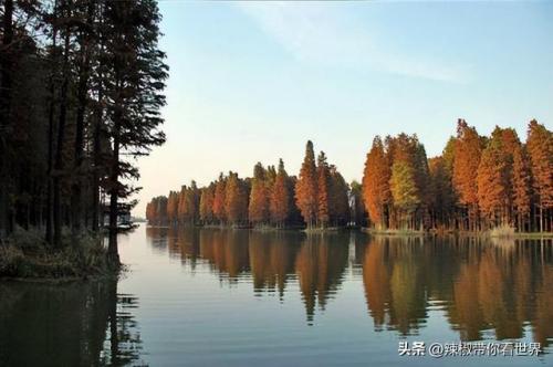 泰州古迹景点排名前十(泰州人文景点排名前十)插图15