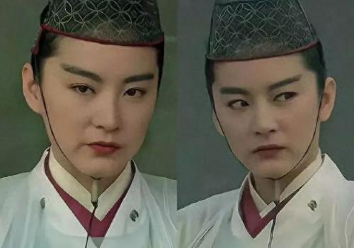 女扮男装排名前十(女扮男装十大排名)插图44