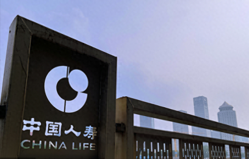 亚洲排名前十企业(亚洲最大湿法炼锌企业)插图4