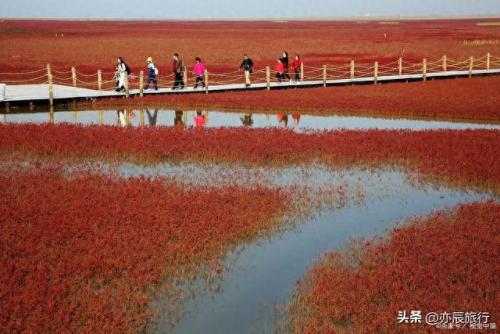 东营景点排名前十(东营著名景点)插图23
