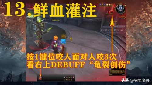 影之哀伤任务流程(影之哀伤任务流程单人能做吗)插图13