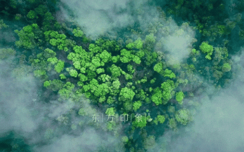 茶叶加盟排名前十(茶叶加盟免费铺货)