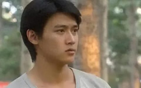 永不暝目(永不瞑目电视剧)