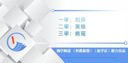 段泽西(段泽西四川)插图2