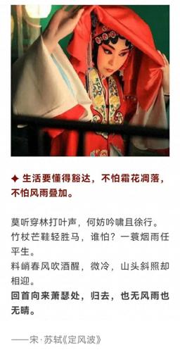 中国最美古诗词(十首最美秋天诗)插图11