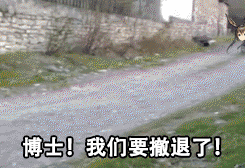 植物大战僵尸怎么玩(无尽版最佳布阵)插图4