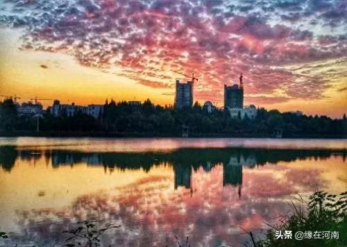 山东信阳县级人口排名前十(信阳县人口经济排名)插图7