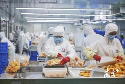 广东省粮食企业排名前十(全国粮食龙头企业)插图1
