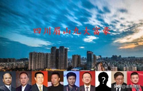 眉山十大富豪排名前十(眉山市十大富豪排名)插图