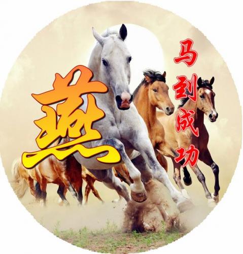 百家姓qq头像(百家姓头像大全真实图)插图84