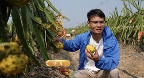 超级人参果多少钱(梦幻西游超级人参果多少钱)插图4