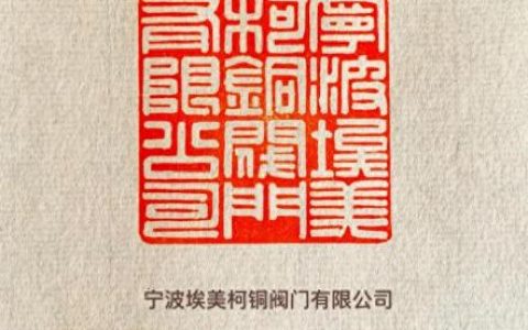 宁波阀门排名前十(抖音宁波日安阀门有限公司董事长)
