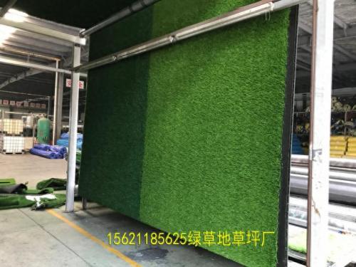国内人造草坪工厂排名前十(人造草坪企业排行榜)插图