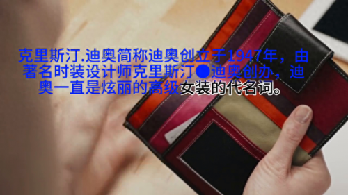 箱包全球前十排名品牌(箱包十大国际品牌)插图1