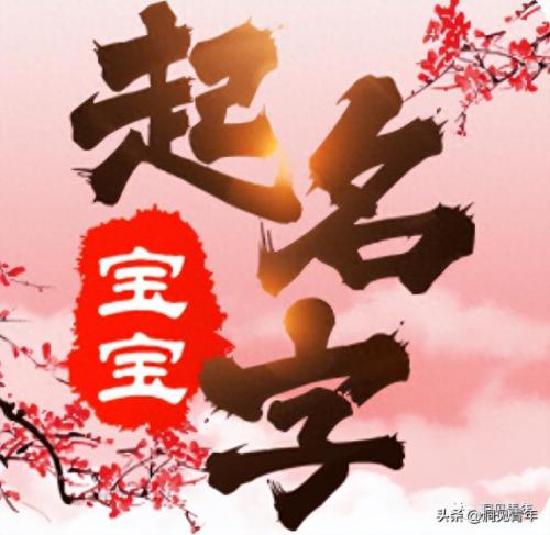 新生儿排名前十的姓名字(姓刘的最旺名字)插图2