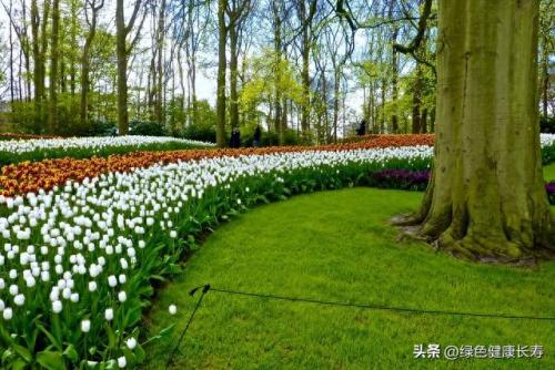 荷兰住宅公园排名前十(荷兰小镇空中别墅)插图65