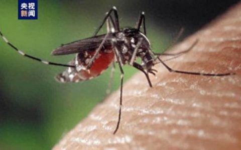 排名前十死亡病(食道癌死亡率100%)
