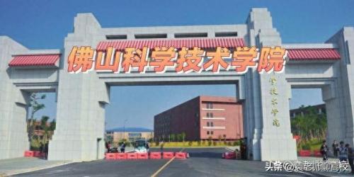 佛山市职工学校排名前十(佛山初中排名一览)插图11