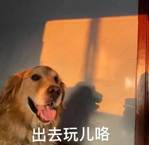 广州市文化公园排名前十(广州市最好的公园排名)插图1