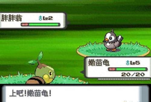 口袋妖怪珍珠攻略(口袋妖怪珍珠攻略图解二周目)插图4