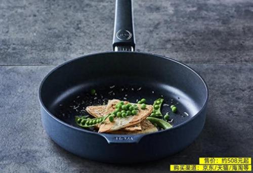 全世界平底锅品牌排名前十(什么品牌的平底锅好)插图2